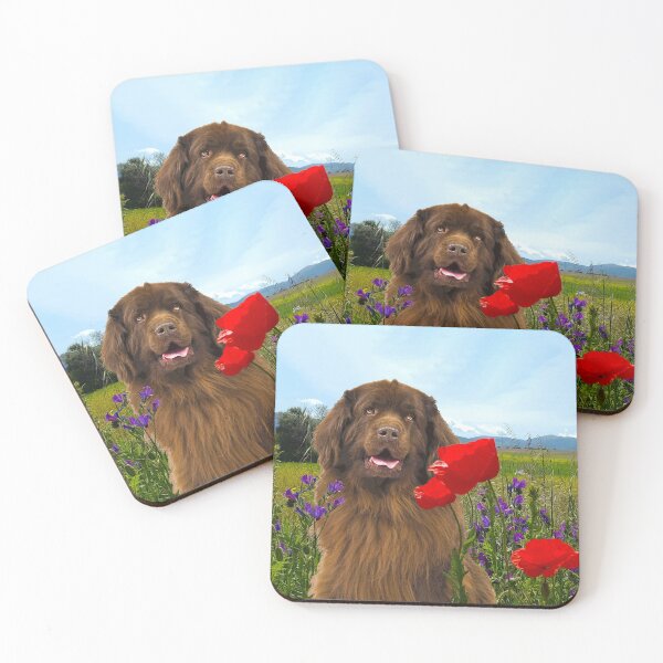 Item preview, Brown Newfie in Spring Field designed and sold by Christine Mullis.