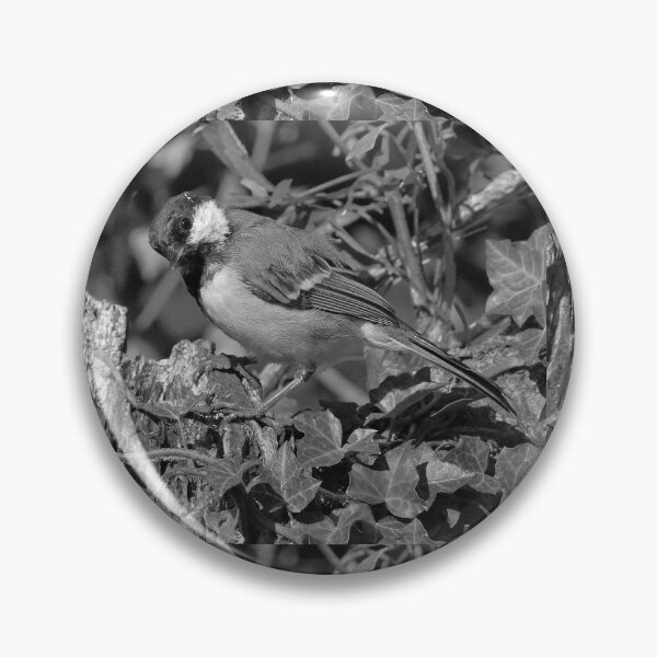 Item preview, r1355/  new finition 2021  Birds  05 n-b (c)(t) by Olao-Olavia / Okaio Créations  designed and sold by o.okaïo.