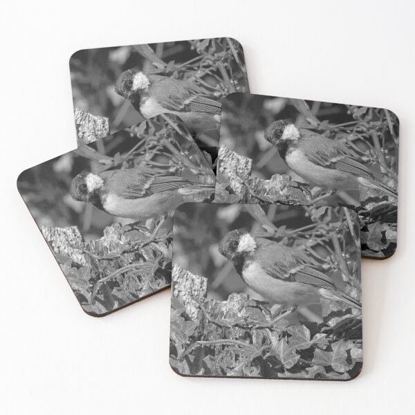 Item preview, r1355/  new finition 2021  Birds  05 n-b (c)(t) by Olao-Olavia / Okaio Créations  designed and sold by o.okaïo.