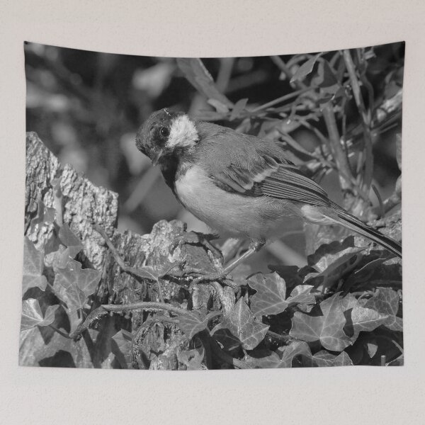 Item preview, r1355/  new finition 2021  Birds  05 n-b (c)(t) by Olao-Olavia / Okaio Créations  designed and sold by o.okaïo.