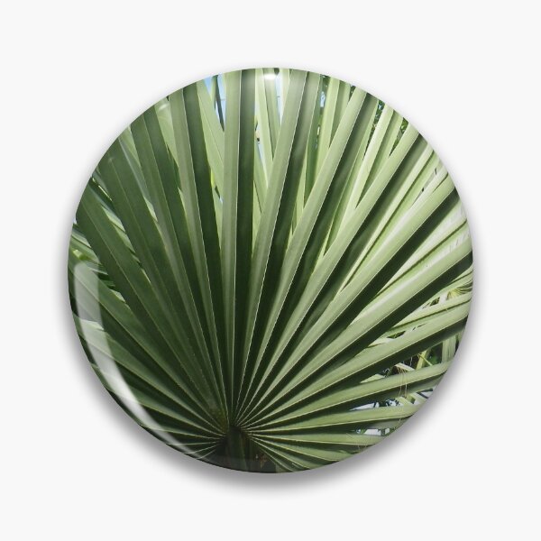 Item preview, Big Sabal Palm Frond designed and sold by Betty Mackey.