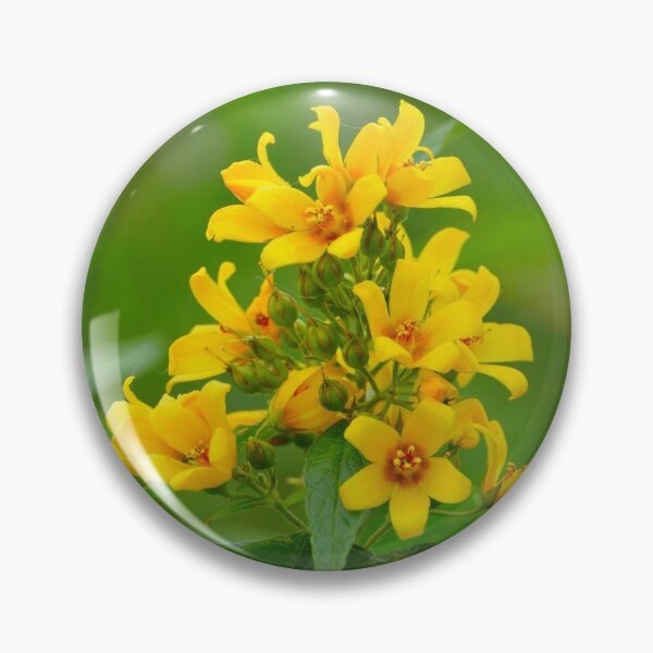 Item preview, yellow flowers hypericum  designed and sold by mrivserg.