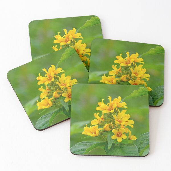 Item preview, yellow flowers hypericum  designed and sold by mrivserg.