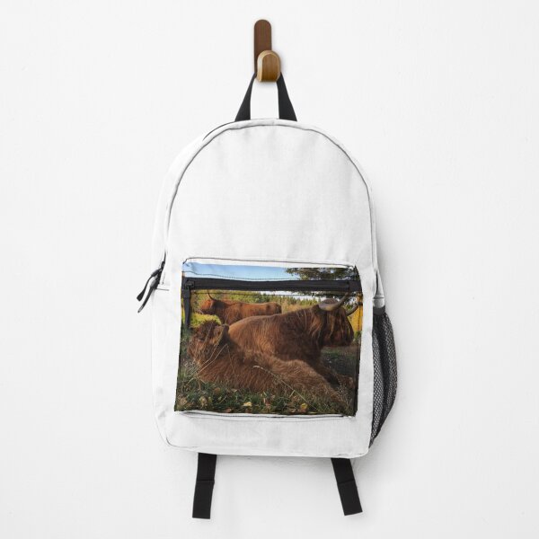 Item preview, Scottish Highland Cattle Calf and Cows 2550 designed and sold by SaarelaHighland.