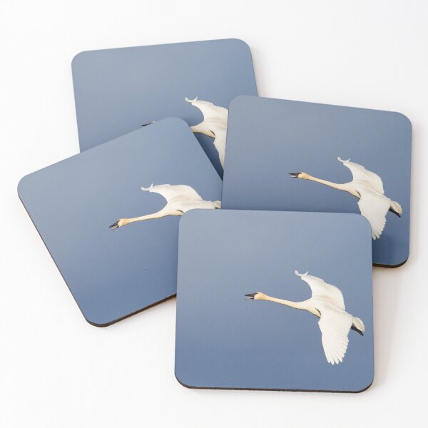 Item preview, Trumpeter Swan designed and sold by Jukka Jantunen.