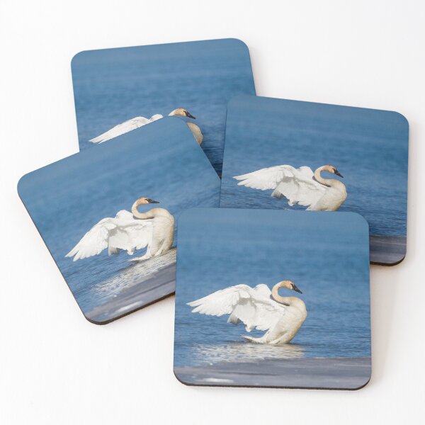 Item preview, Trumpeter Swan designed and sold by Jukka Jantunen.