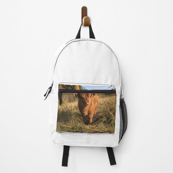 Item preview, Scottish Highland Cattle Calf 2553 designed and sold by SaarelaHighland.