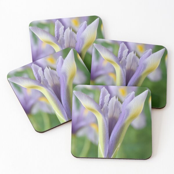 Item preview, Iris 'King Mauve' Dutch iris designed and sold by Chris Burrows.