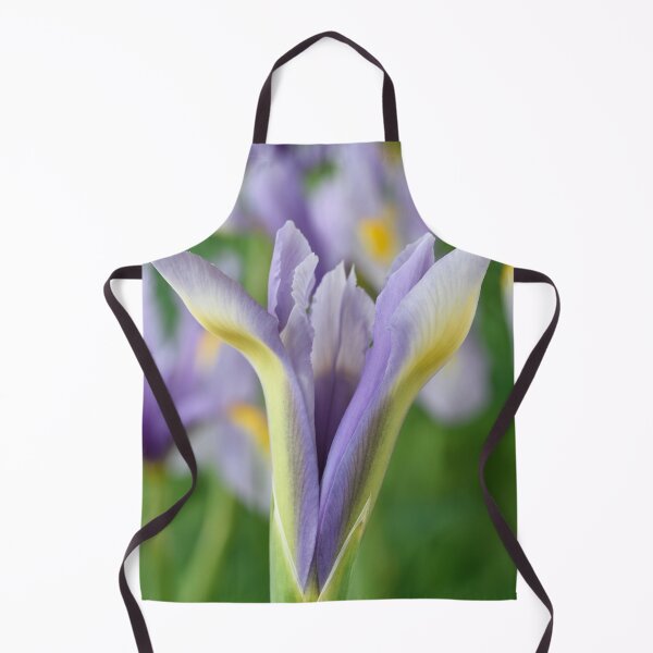 Item preview, Iris 'King Mauve' Dutch iris designed and sold by Chris Burrows.