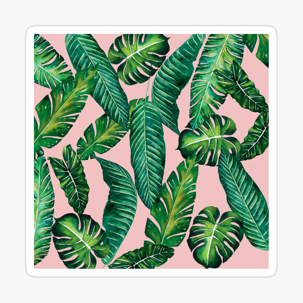 Jungle Leaves, Banana, Monstera Pink II