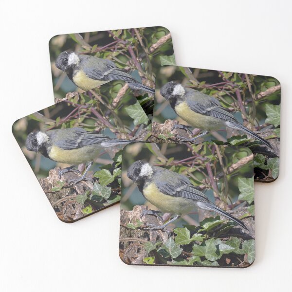 Item preview, r1354/  new finition 2021  Birds  05 a (c)(t) by Olao-Olavia / Okaio Créations  designed and sold by o.okaïo.