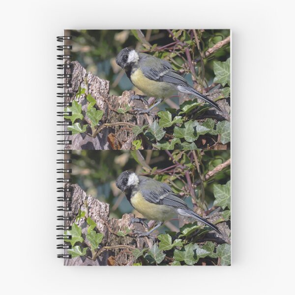 Item preview, r1354/  new finition 2021  Birds  05 a (c)(t) by Olao-Olavia / Okaio Créations  designed and sold by o.okaïo.