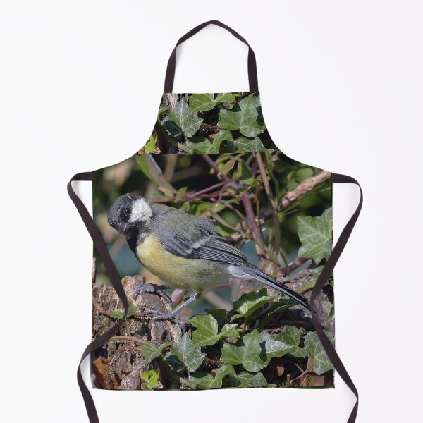 Item preview, r1354/ new finition 2021 Birds 05 a (c)(t) by Olao-Olavia / Okaio Créations designed and sold by o.okaïo.