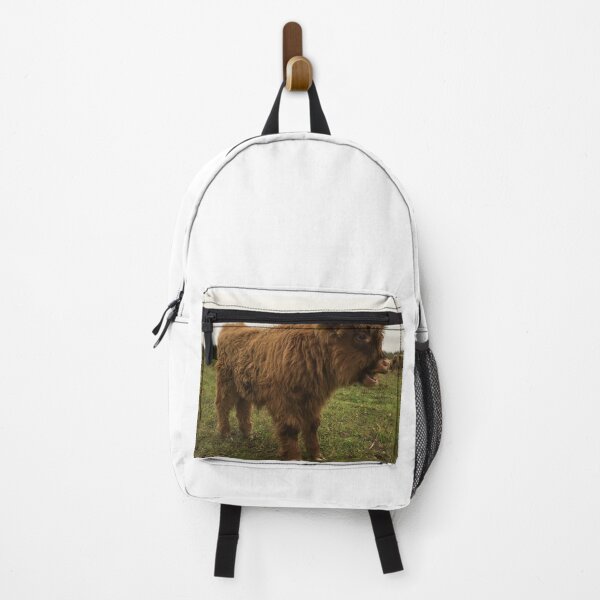 Item preview, Scottish Highland Cattle Calf 2564 designed and sold by SaarelaHighland.