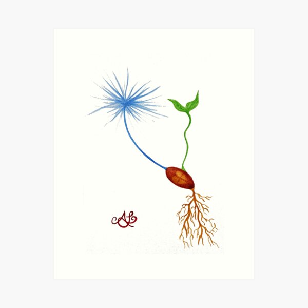 Seeds of Hope (Puff Puff) Art Print