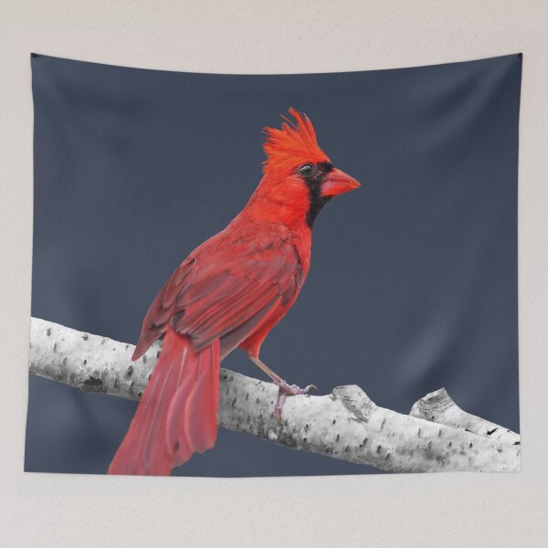 Item preview, Male Northern Cardinal designed and sold by cherylorraine.