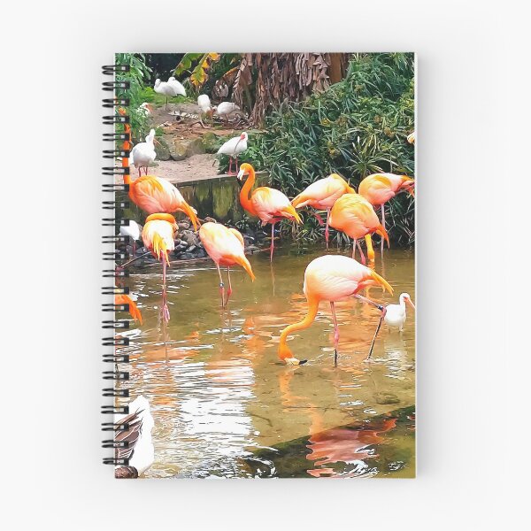 Item preview, Flamingo meeting  designed and sold by Melissaocke.