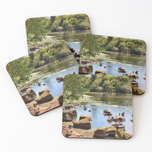 Item preview, The local duck pond. designed and sold by ronsaunders47.
