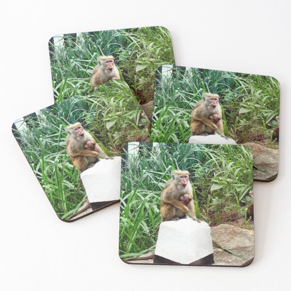 Item preview, ANIMAL BEGGARS OF SRI LANKA. designed and sold by ronsaunders47.
