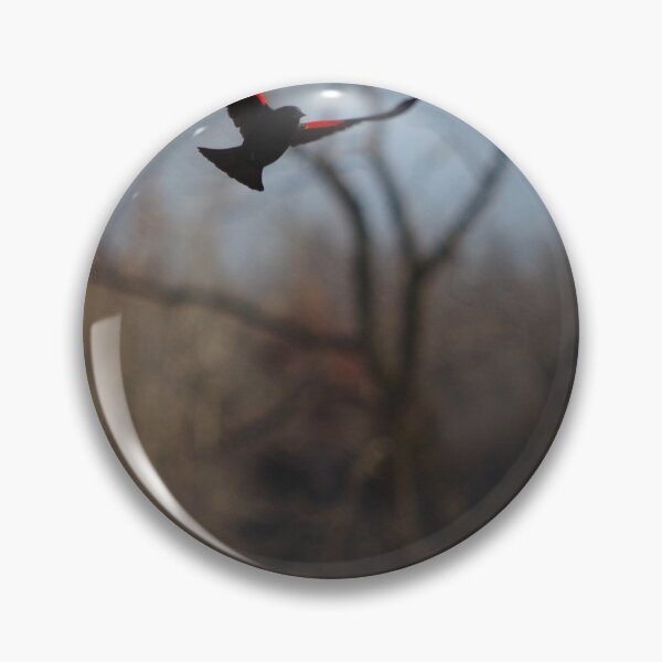 Item preview, Red winged blackbird in flight designed and sold by silverwheelarts.