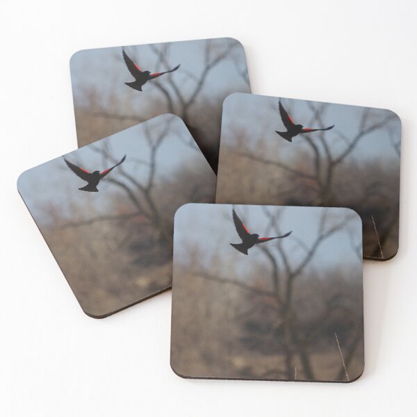 Item preview, Red winged blackbird in flight designed and sold by silverwheelarts.