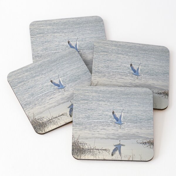 Item preview, Seagull taking flight over an icy marsh designed and sold by silverwheelarts.