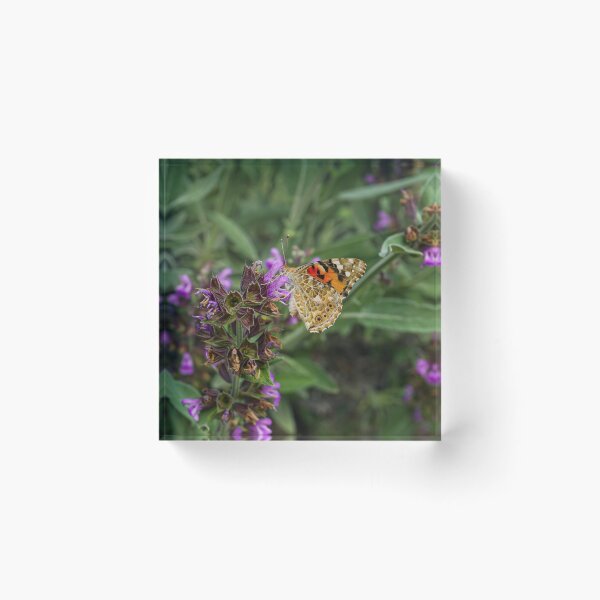 Item preview, Butterfly Effect designed and sold by dilhanenise.