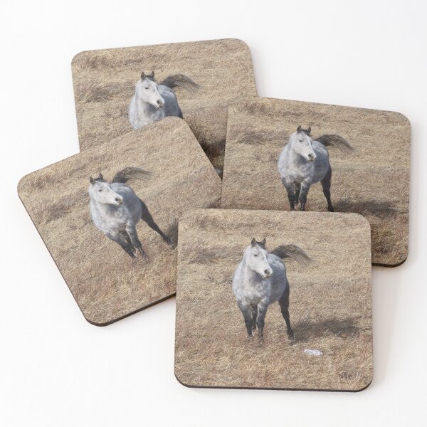 Item preview, Dappled Gray Horse in a Parched Pasture designed and sold by Vivar Photo.