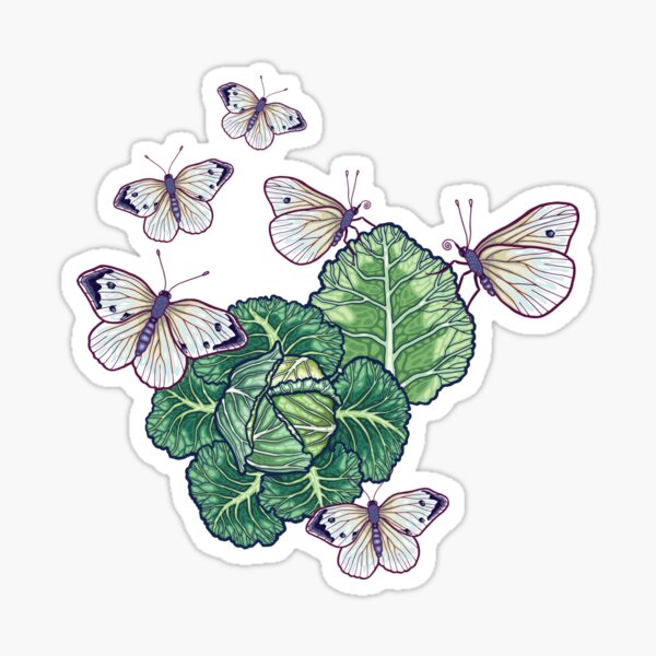 Aperçu de l'œuvre papillons dans le jardin créée et vendue par smalldrawing.