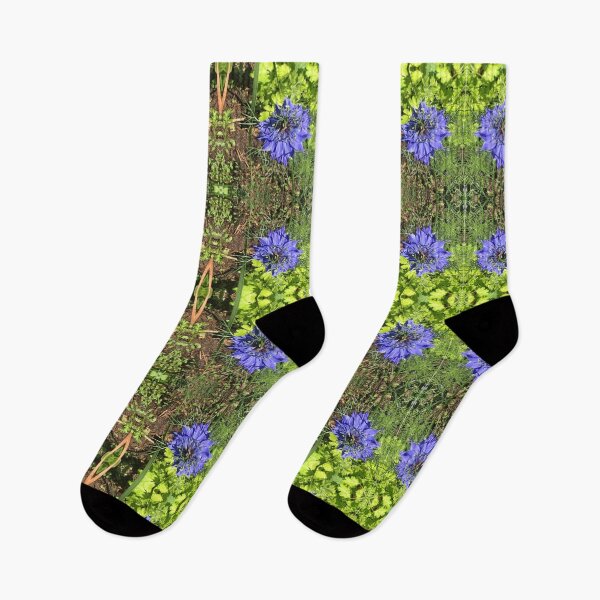 Item preview, Botanical, Divine -  Sapphire Love-in-the-Mist, last Autumn Blooms in Emerald Gardens designed and sold by RoseAromas.