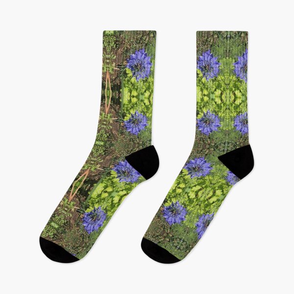 Item preview, Botanical, Divine -  Sapphire Love-in-the-Mist, last Autumn Blooms in Emerald Gardens designed and sold by RoseAromas.