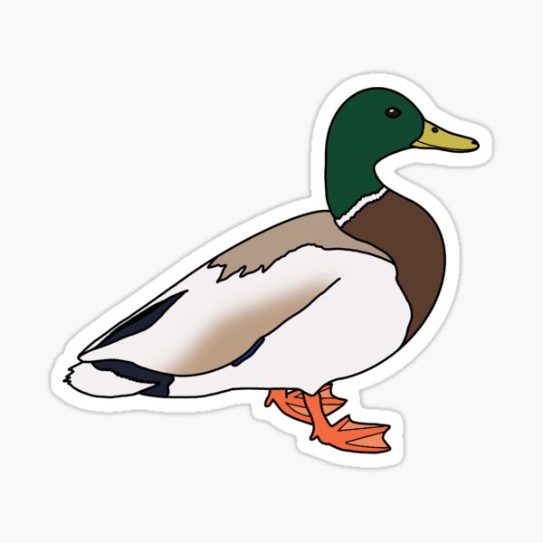 Artikel-Vorschau von Stockente, designt und verkauft von Little Ray of Stickers.