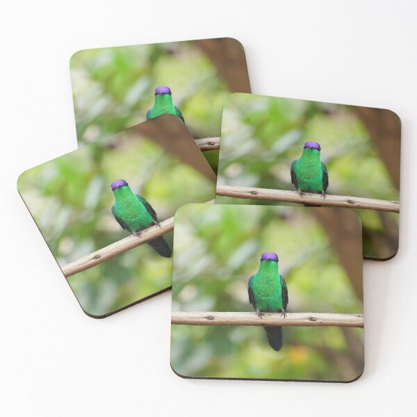 Item preview, Violetcapped Woodnymph Hummingbird designed and sold by anafrancisconi.