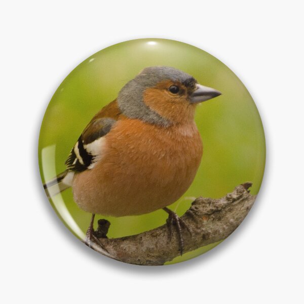 Item preview, Chaffinch designed and sold by ollygriffin.