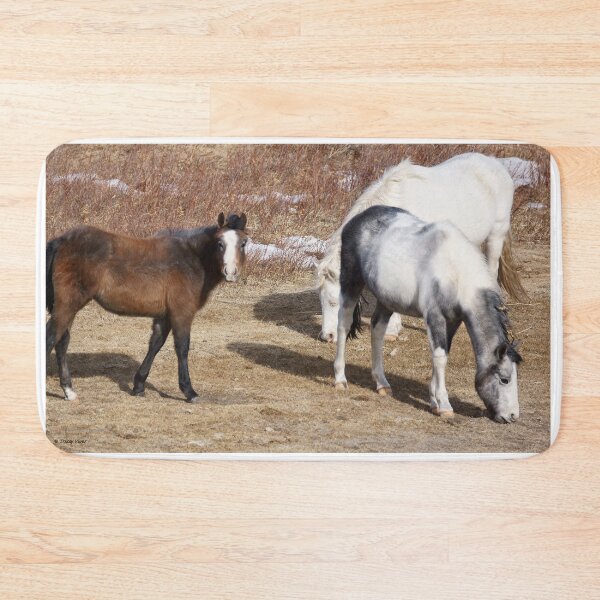 Item preview, Three Horses in a Parched Pasture designed and sold by Vivar Photo.