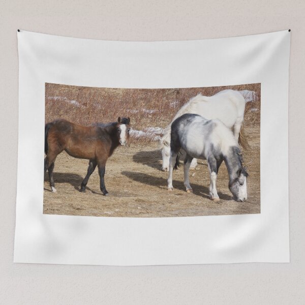 Item preview, Three Horses in a Parched Pasture designed and sold by Vivar Photo.