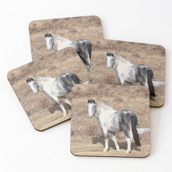 Item preview, Gray Paint Horse in a Parched Pasture designed and sold by Vivar Photo.