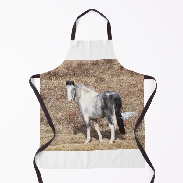 Item preview, Gray Paint Horse in a Parched Pasture designed and sold by Vivar Photo.