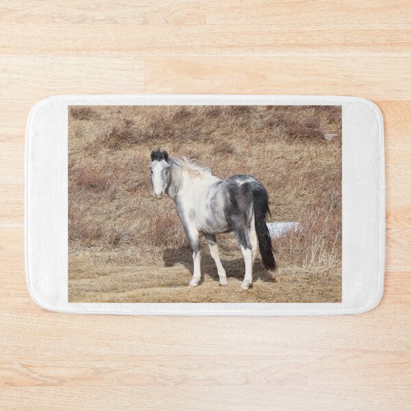 Item preview, Gray Paint Horse in a Parched Pasture designed and sold by Vivar Photo.