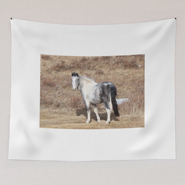 Item preview, Gray Paint Horse in a Parched Pasture designed and sold by Vivar Photo.