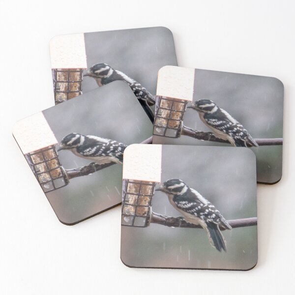 Item preview, Downy woodpecker designed and sold by Leera07.