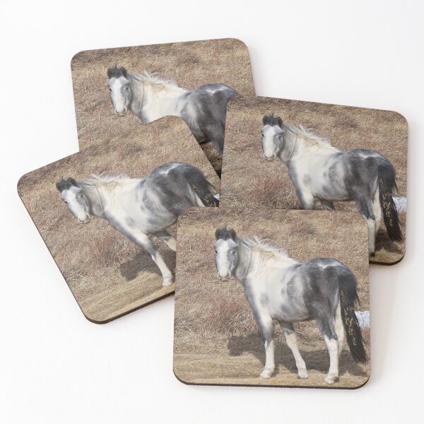 Item preview, Gray Paint Horse in a Parched Pasture, 2 designed and sold by Vivar Photo.