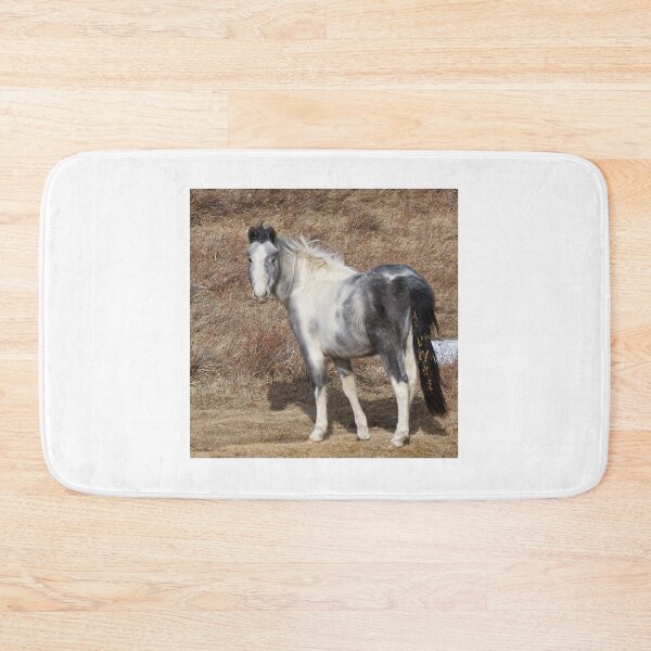 Item preview, Gray Paint Horse in a Parched Pasture, 2 designed and sold by Vivar Photo.