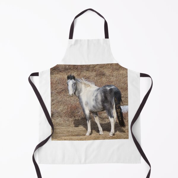 Item preview, Gray Paint Horse in a Parched Pasture, 2 designed and sold by Vivar Photo.