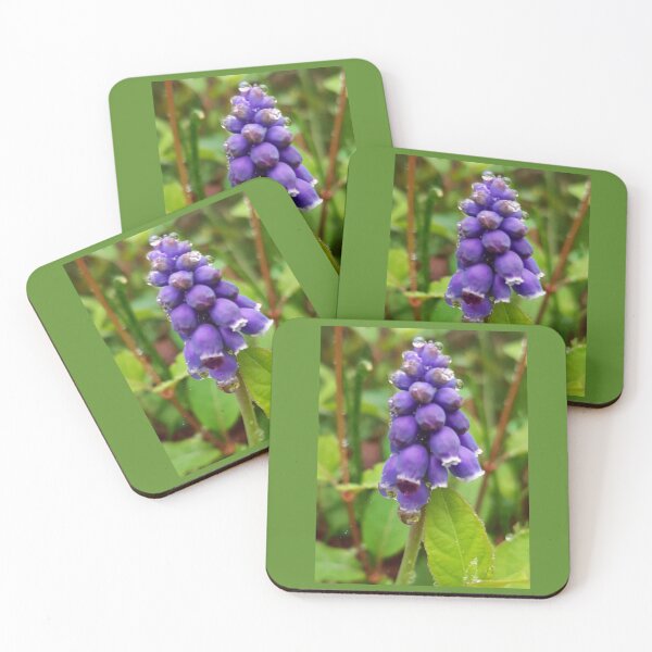 Item preview, Purple Grape Hyacinth designed and sold by Jaroffaith.