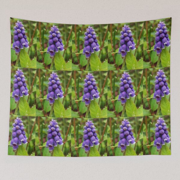 Item preview, Purple Grape Hyacinth designed and sold by Jaroffaith.