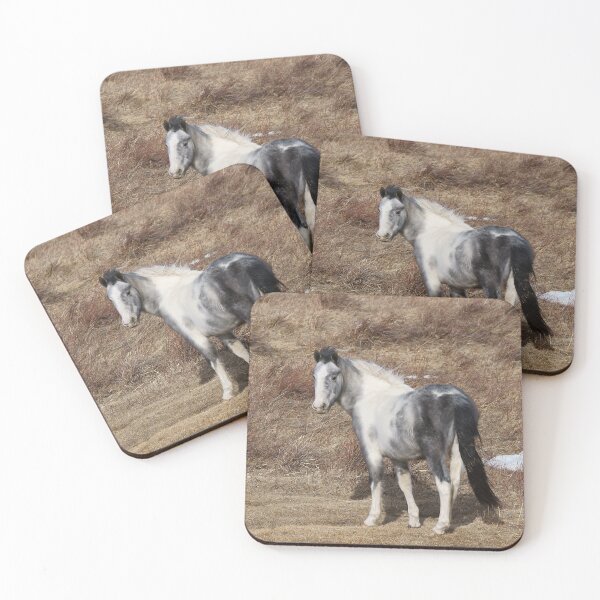 Item preview, Gray Paint Horse in a Parched Pasture #3 designed and sold by Vivar Photo.