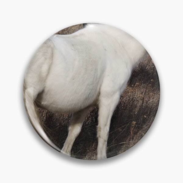 Item preview, White Horse with Friends designed and sold by Vivar Photo.