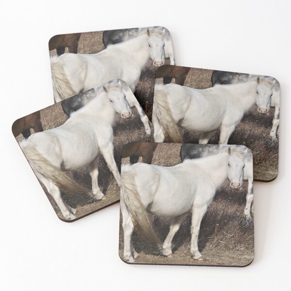 Item preview, White Horse with Friends designed and sold by Vivar Photo.