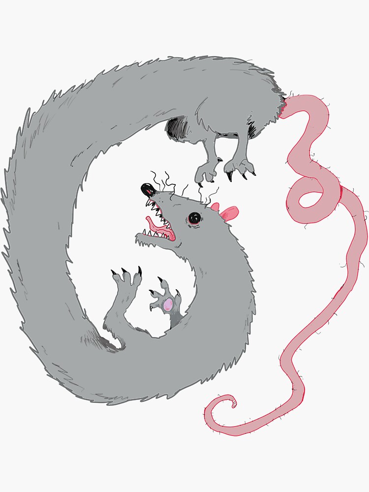 Thumbnail 3 of 3, Sticker, Stretch Rat designed and sold by homebrewD.